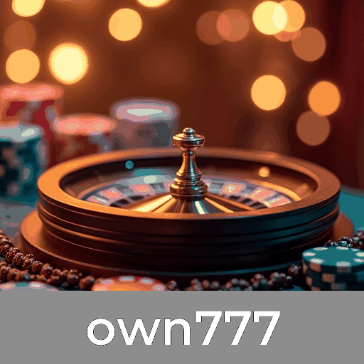 Conheça os Serviços Profissionais do Cassino own777